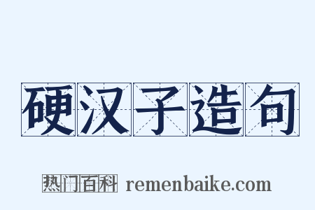 硬汉子造句是什么意思的图片